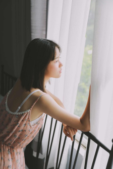 Lady宝石宠物